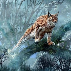 Meet your Posher, Wallace